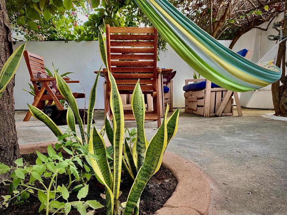 بويجو Villa Orchid Beach Guest House المظهر الخارجي الصورة